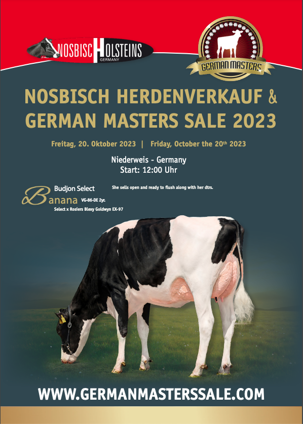 CATALOGUS: Nosbisch Herdenverkauf & German Masters Sale 2023